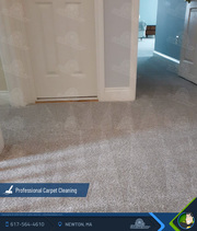 Carpet cleaning in Newton MA